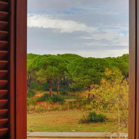 Precioso Apartamento A 700 M Del Mar Chiclana de la Frontera Exteriör bild